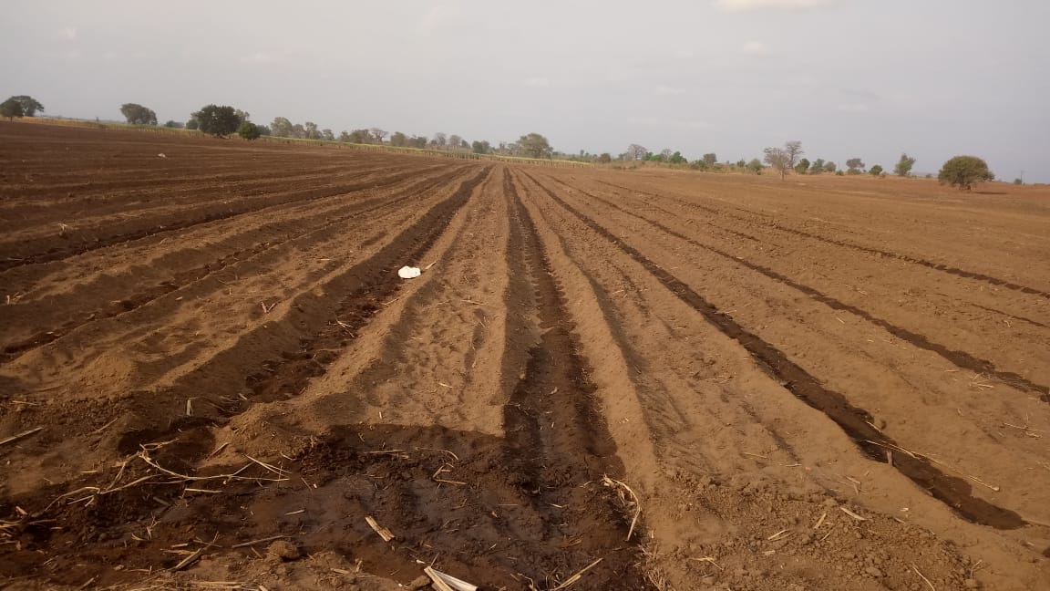 Image of Sugar Factory Drip Irrigation schemes (Sales, Marketing, installation of Drip Irrigation components)